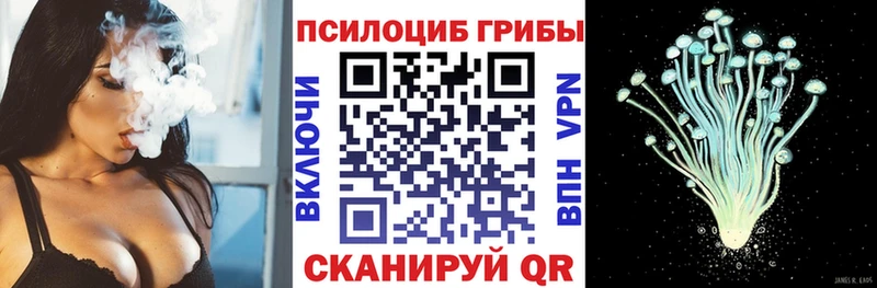Псилоцибиновые грибы Cubensis  где продают наркотики  Новосокольники 
