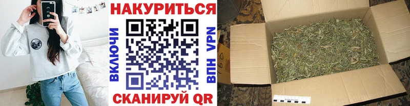 Бошки марихуана Bruce Banner Новосокольники